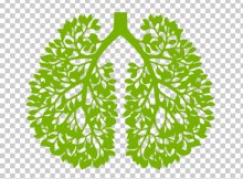 10 Ways You Can Purify Your Lungs Naturally
