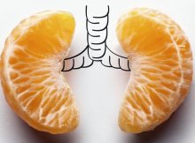 Best 5 Foods To Naturally Cleanse Your Lungs
