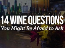 14 wine questions you may not dare to ask